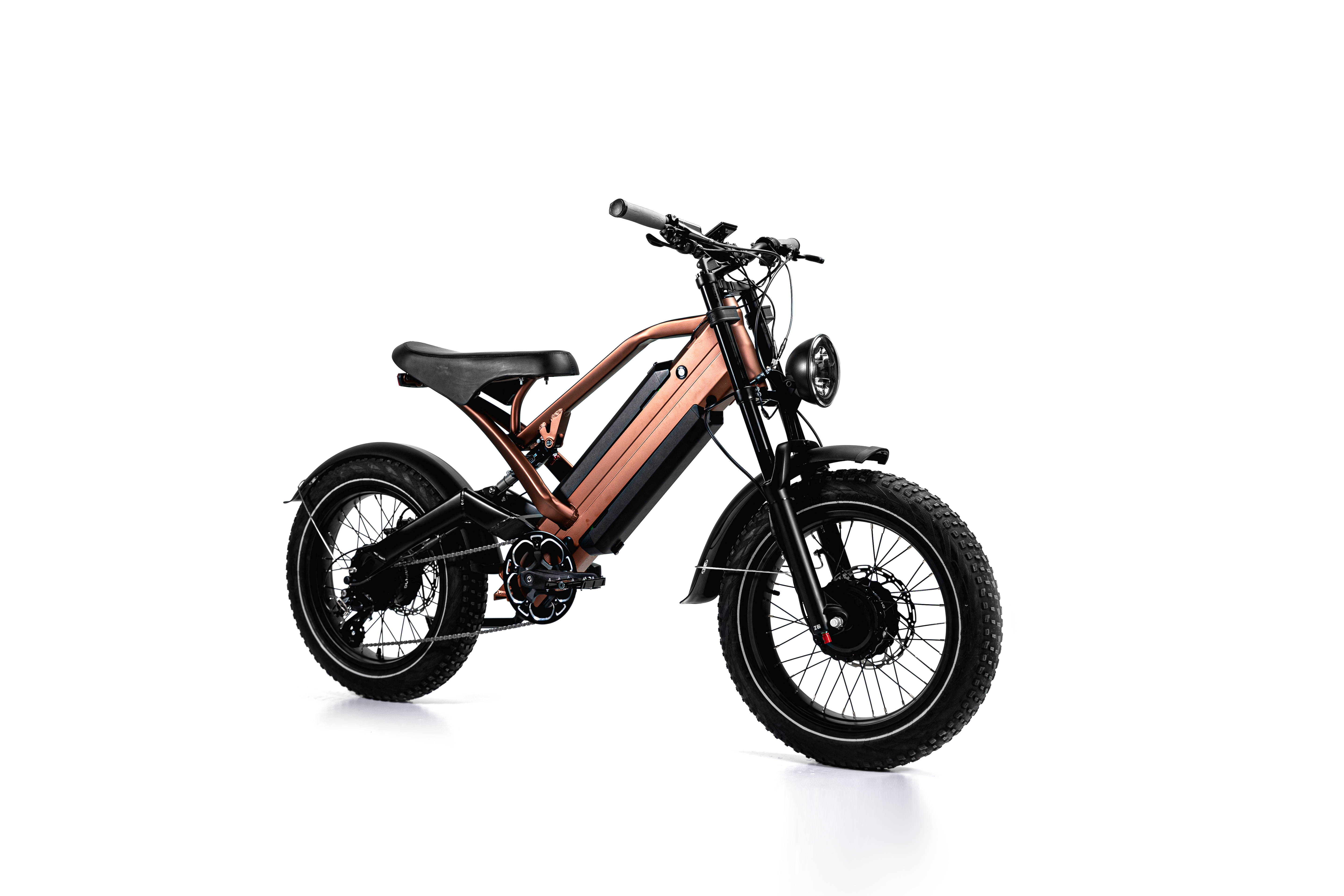 오토바이 스타일 전기 자전거 2 배터리 2 모터 750w FAT eBike 